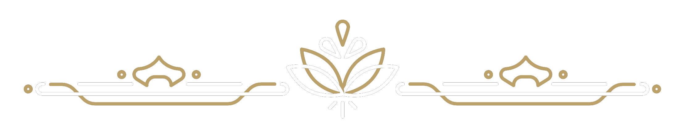 spa jaccuzi sauna saint etienne
